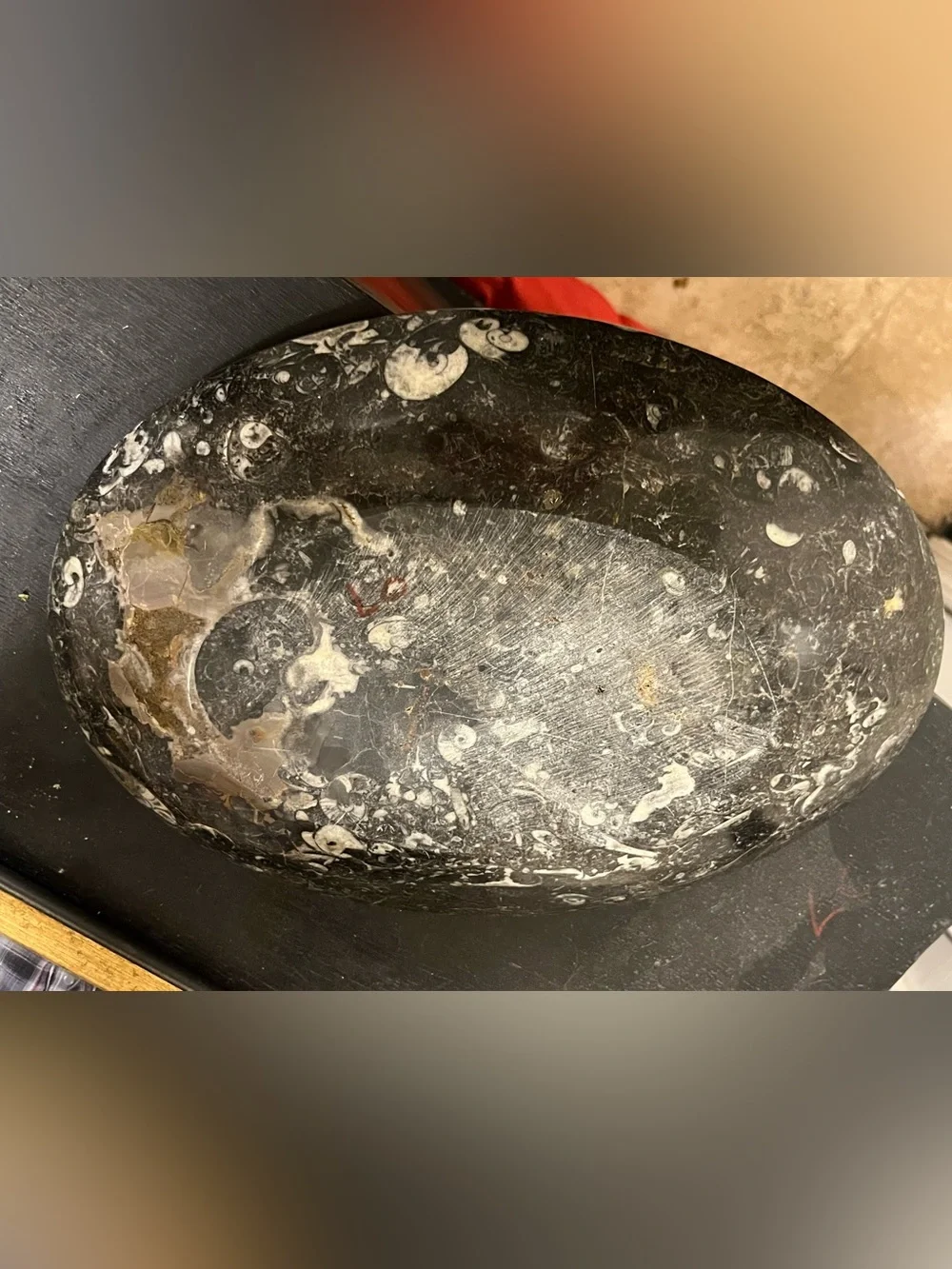 Black Fossil Marble Decorative Bowl - Home Accents